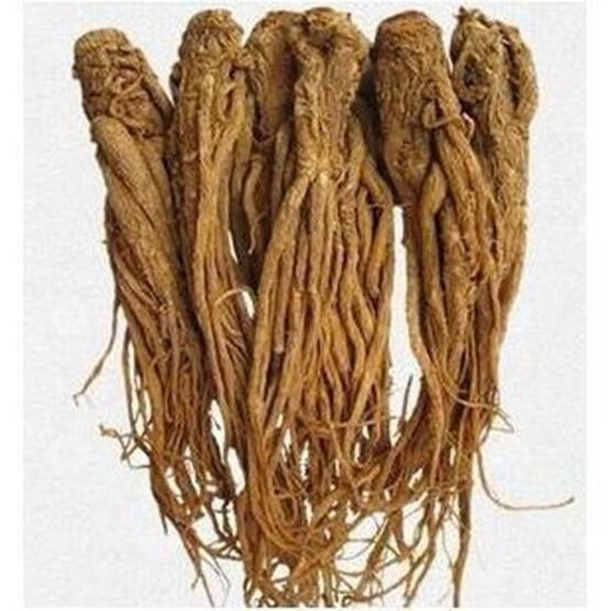 当归中材当归头当归片整条甘肃当归正宗当归个泡酒煲汤当归 当归整条