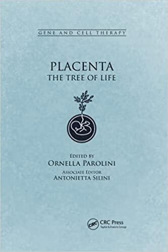 预订placenta