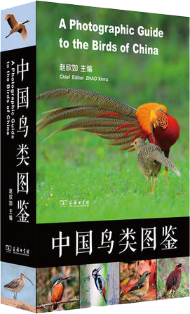 【送货上门】中国鸟类图鉴