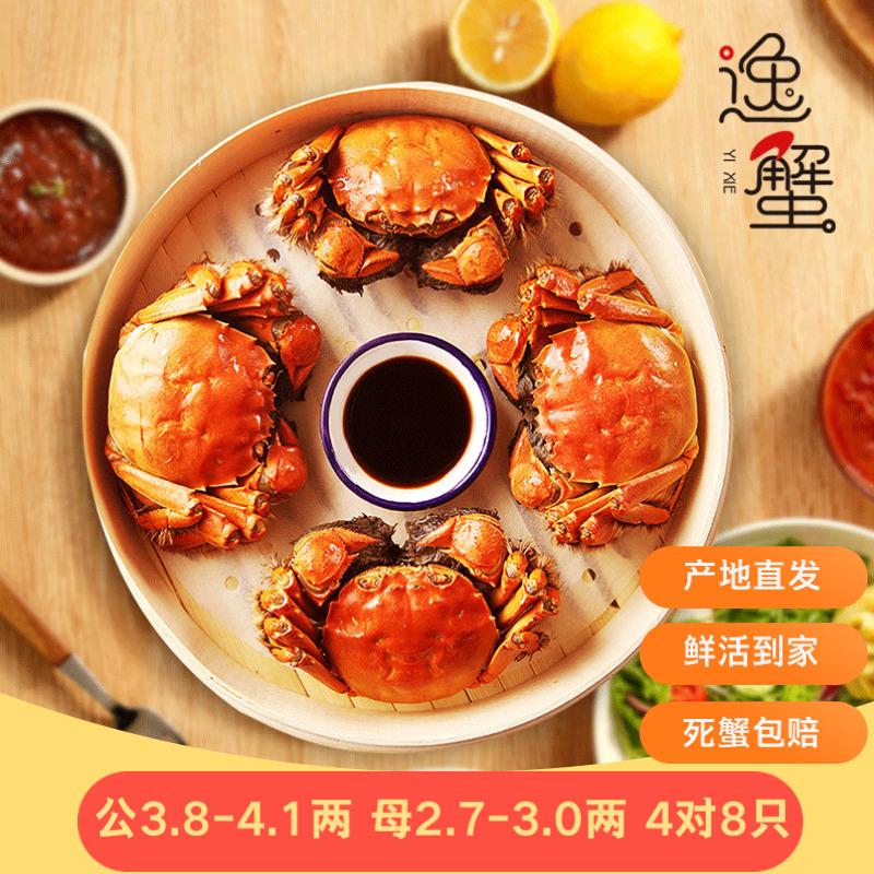 蟹类近期价格走势如何|蟹类价格走势
