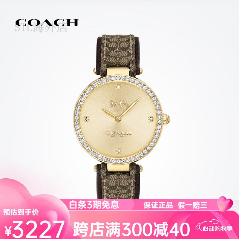 蔻驰（COACH）PARK系列日晖纹表盘时尚石英女士手表官方 14503456