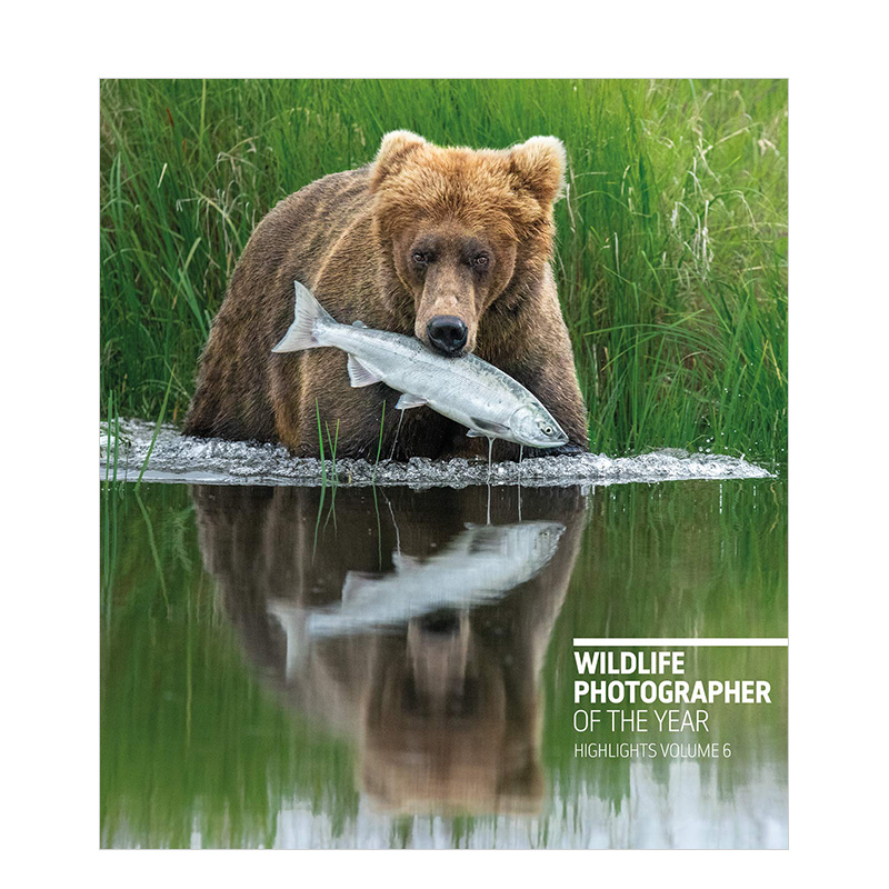 年度野生动物摄影师亮点6 wildlife photographer of