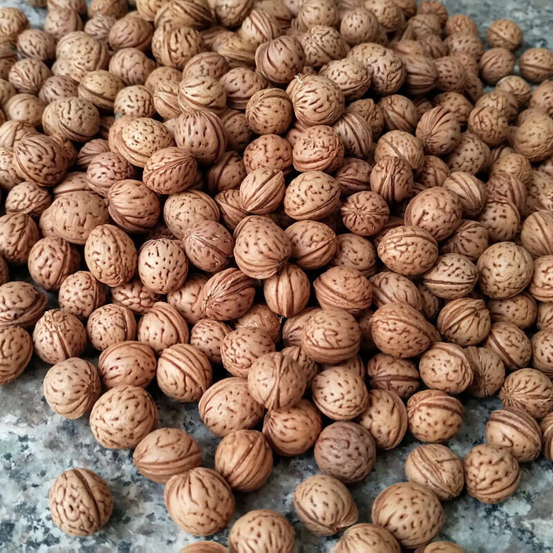 桃核原料 新货野生小山桃核山桃胡原籽原料通货枕头佛珠手串坐垫雕刻