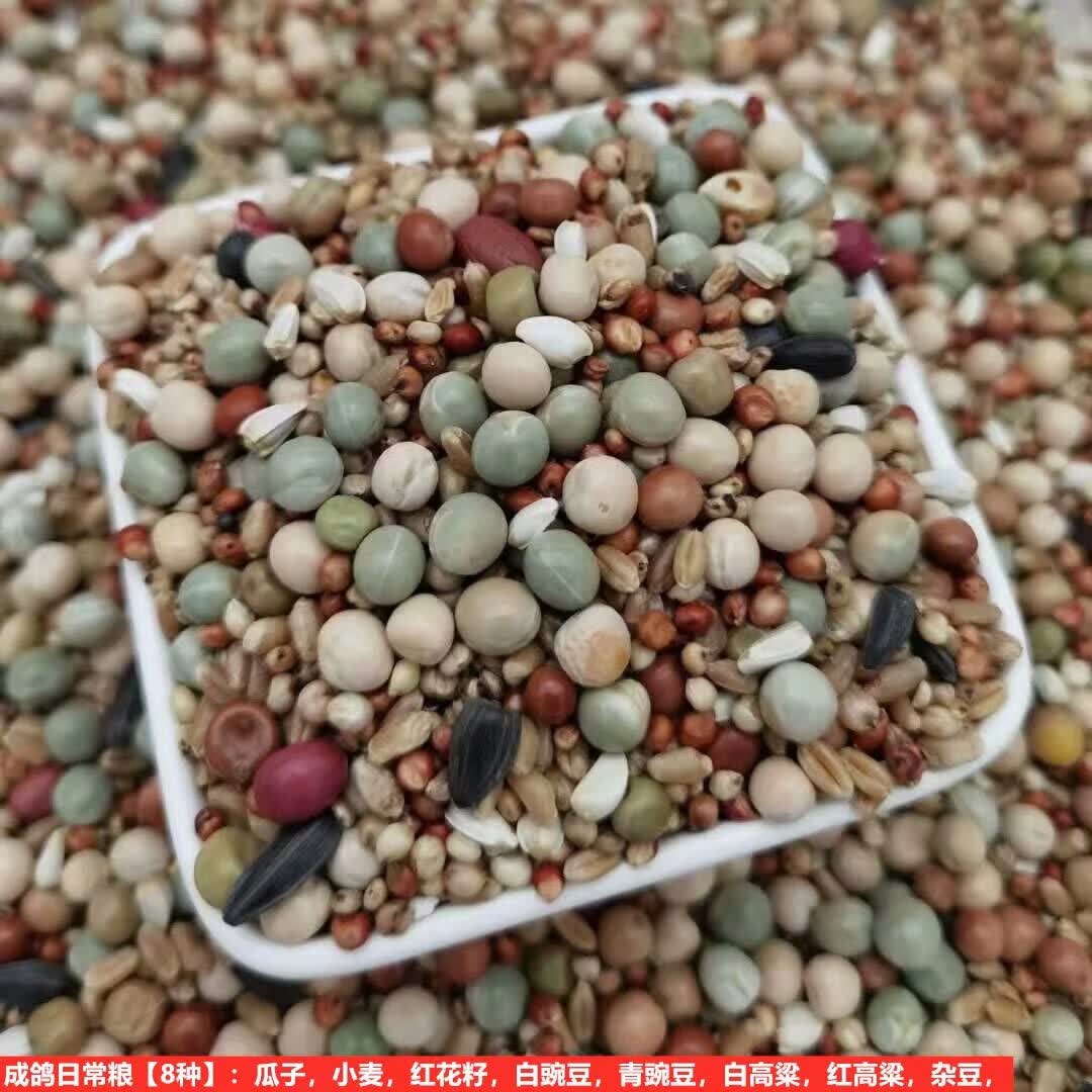 高配比鸽粮营养赛飞鸽子饲料鸟食信鸽赛鸽幼鸽肉鸽观赏鸽成鸽鸽粮 成