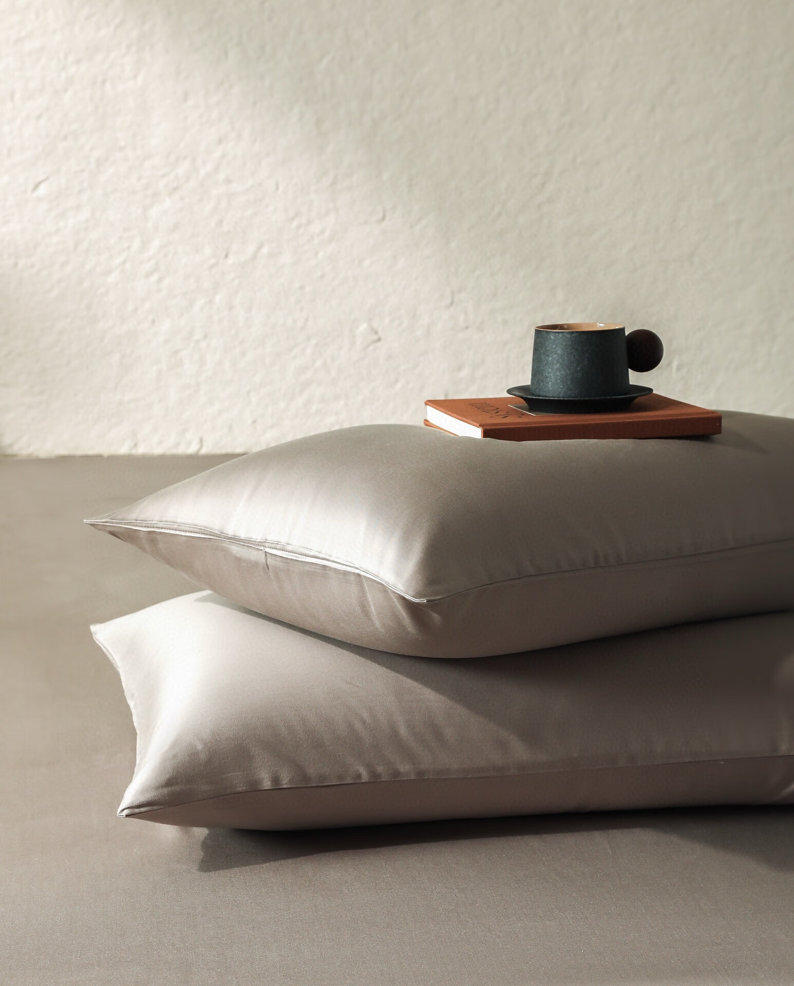 高级感纯色60支天丝棉磨毛枕套一对装软糯丝滑枕头套48x74cm秋冬 名望