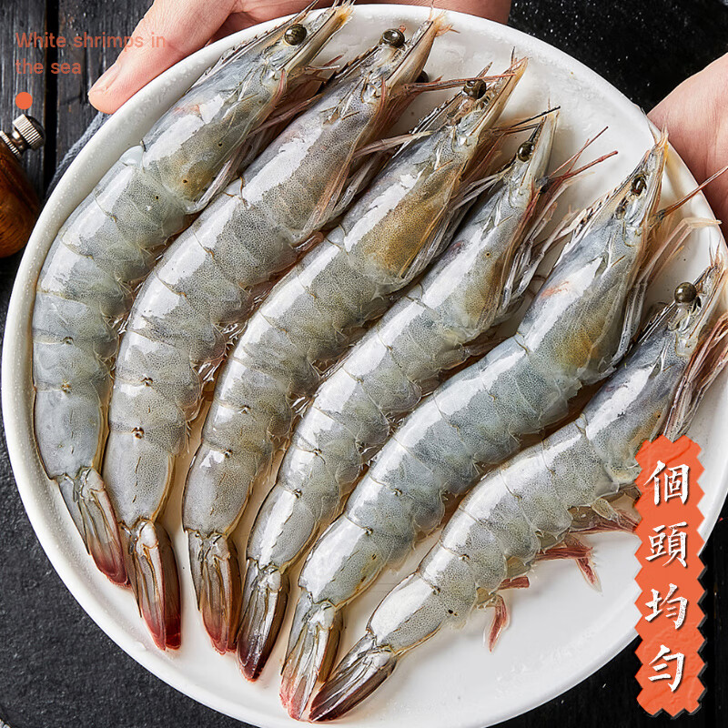速鲜虾新鲜大虾盐冻鲜活超大青鲜虾海虾基围虾白虾净重 3040虾净重1斤(3份默认发一盒)