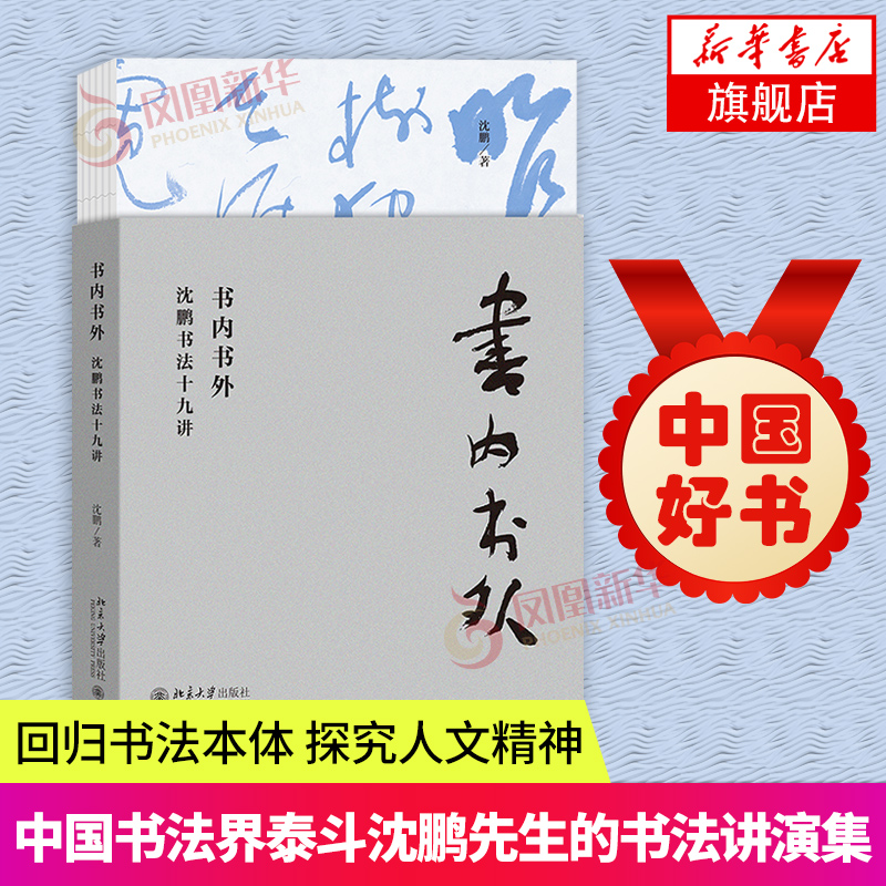书内书外-沈鹏书法十九讲 一本书法讲演集