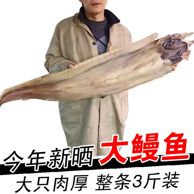 禾澹宁波产大鳗鱼干1500g/一整条 风海鳗干鳗鲡鳗鱼鲞咸鱼干 海鲜