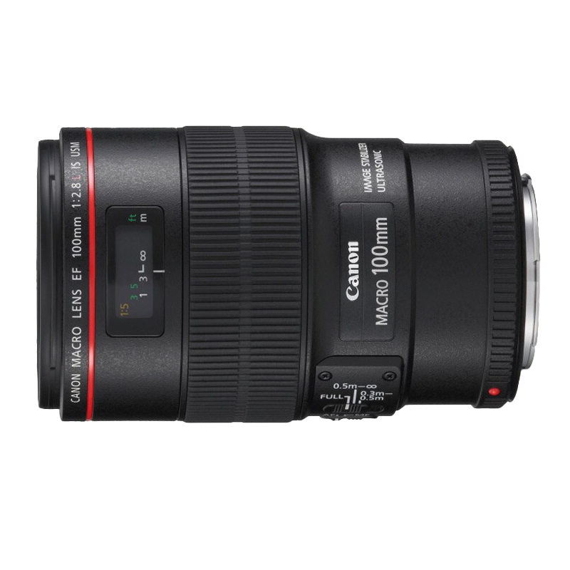 佳能（Canon） EF 100mm f/2.8L IS USM 新百微 微距镜头（含卡色金环G-MC UV保护镜）