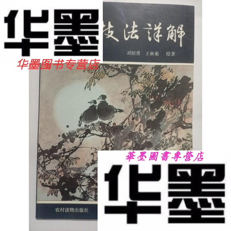 【二手9成新】写意花鸟画色彩技法详解