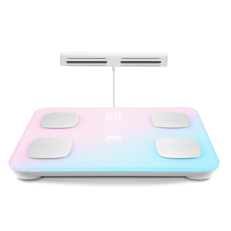 ��ɽ ��֬�� �˵缫,����