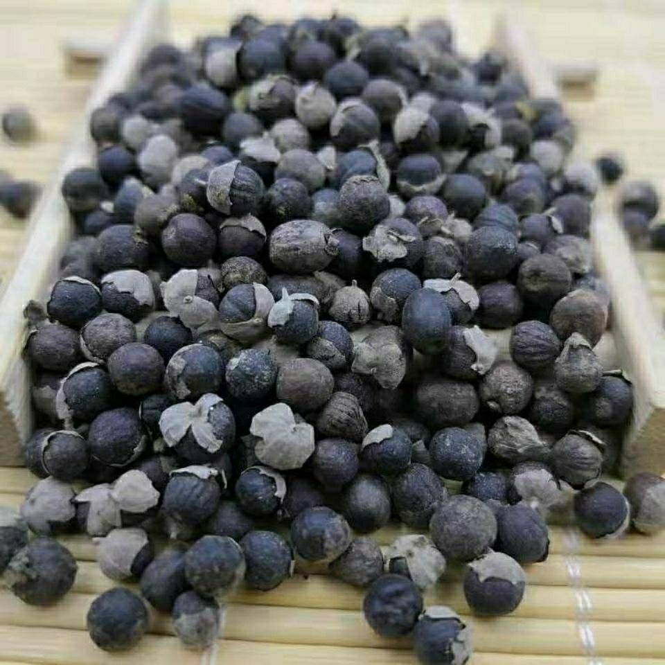 6015啡晨 蔓荆子100克蔓菁子蔓京子中药材店铺 枕头中草药大全sn