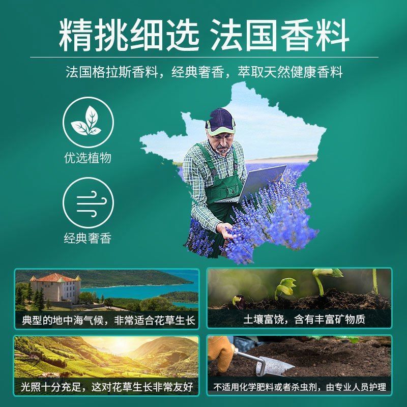 KETAOQI车载香水补充液汽车内古龙香薰精油车用香持久浓香 0酒精【桂花香味】10ML/三瓶装