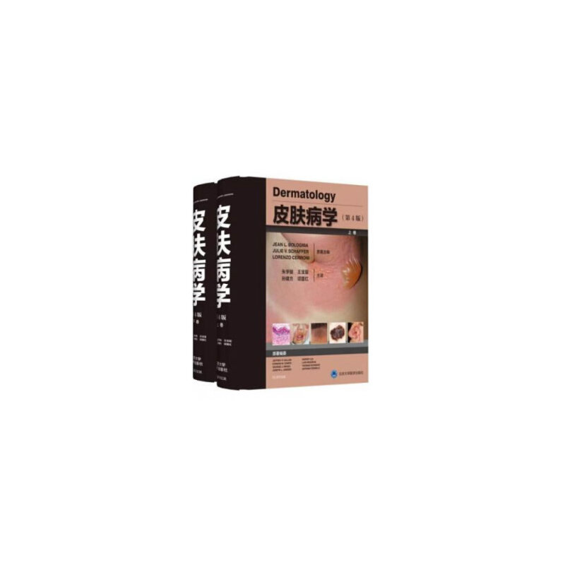 皮肤病学(第4版上下)(精)