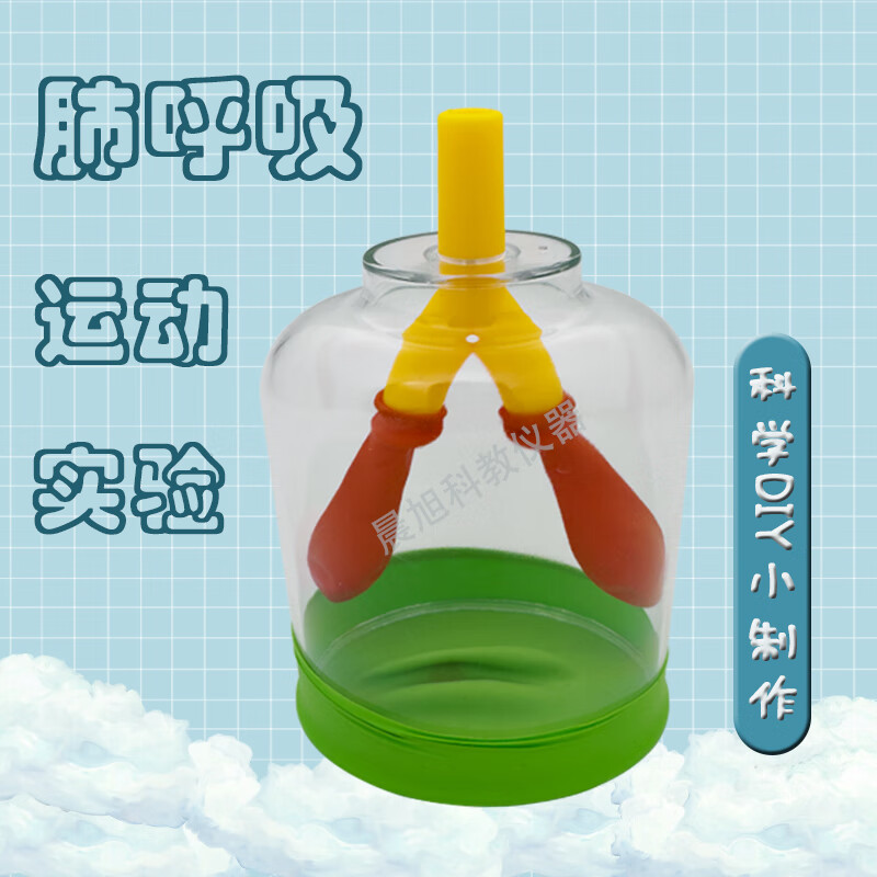 膈肌运动模拟器小学科学实验材料四年级上人体肺呼吸运动模型
