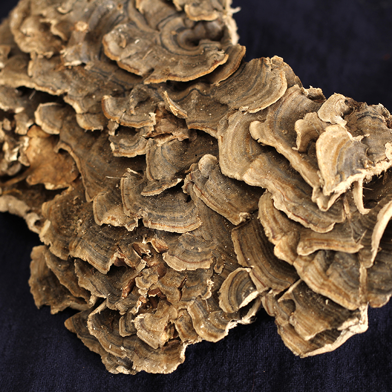 北京同仁堂云南云芝 杂色云芝 黄云芝千层蘑 灰芝整枝云灵芝片500克