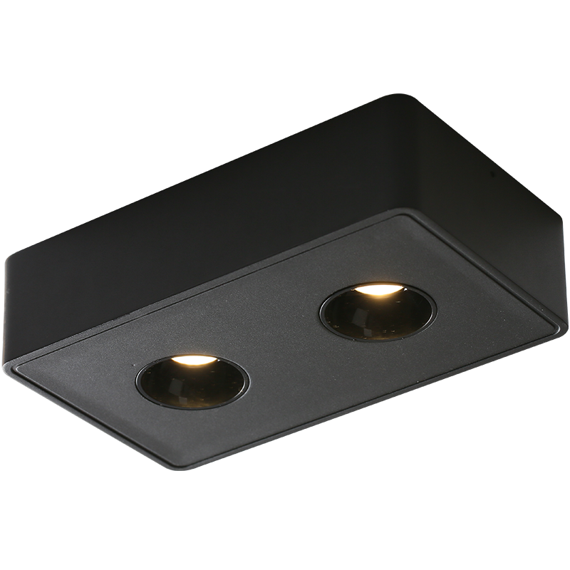 愛斯蘭 led超薄明裝筒燈斗膽燈客廳臥室吸頂家用無主燈天花簡(jiǎn)防眩射燈具 兩頭砂巖黑-24W-自然光