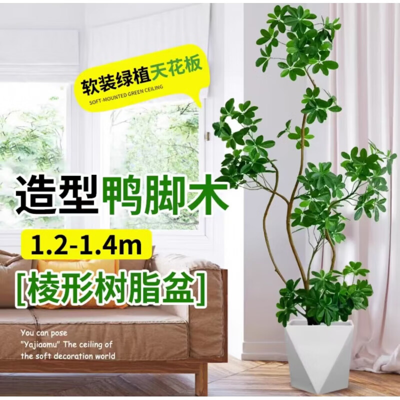 听雪楼造型鸭脚木客厅大盆栽鸭掌木鹅掌柴室内落地式大型四季常青绿植物 鸭脚木-1.2-1.4米-棱形树脂盆