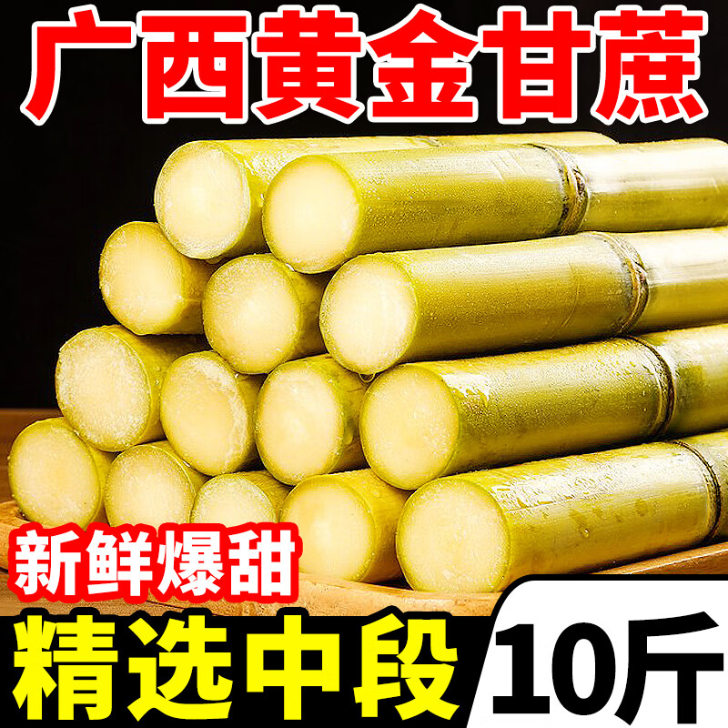 广西黄金甘蔗10斤当季新鲜脆甜黄皮甘蔗中段热带水果正宗特产 5斤 精选中段超值装