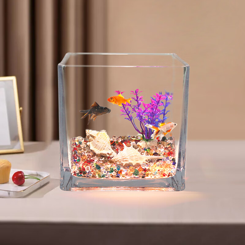 共度 玻璃方形金鱼缸 办公桌绿萝水培家用创意小鱼缸 小型迷你桌面透明乌龟缸 大号方形裸缸 15*15CM
