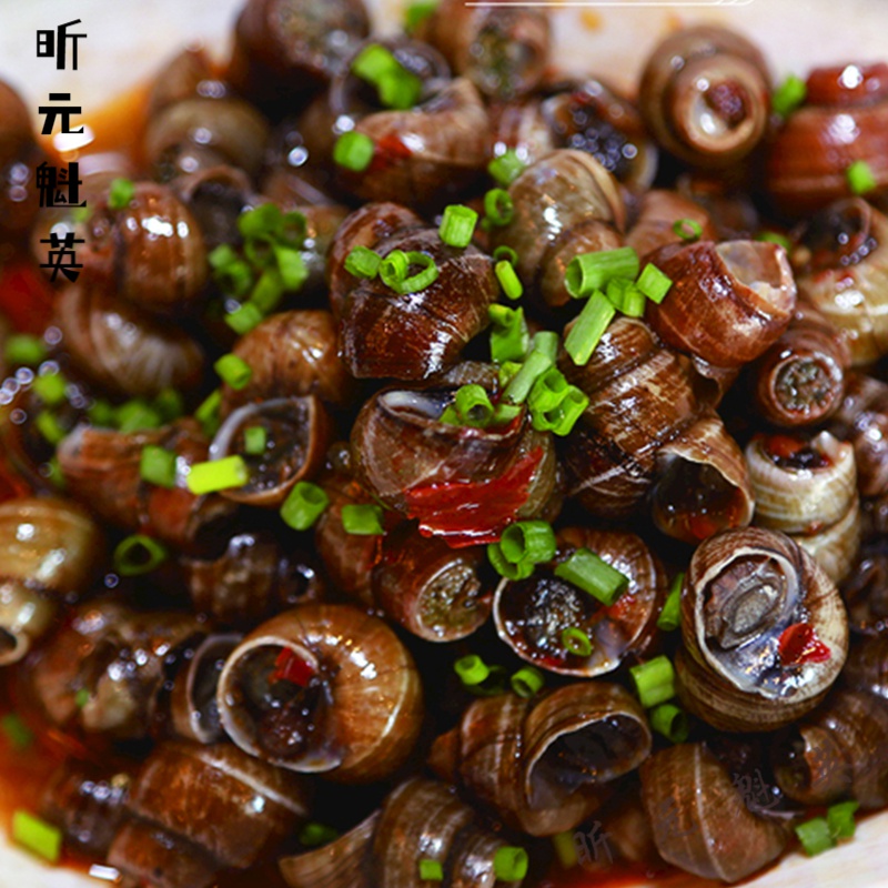 巢浩老长沙口味嗦螺田螺泥螺炒唆螺蛳香辣田螺半成品加热即食