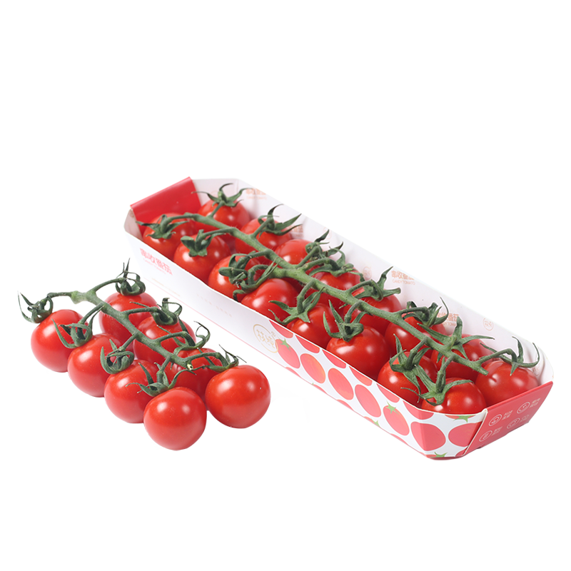 十里馋枝纯 甘肃枝纯串收小番茄198g*6盒新鲜水果西红柿 198g*6盒