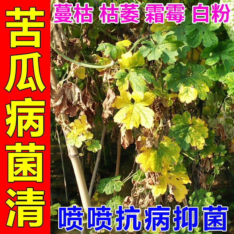 垄颖苦瓜病菌清苦瓜病毒病专用苦瓜卷叶黄叶缩叶烧叶花叶枯喷施叶面肥