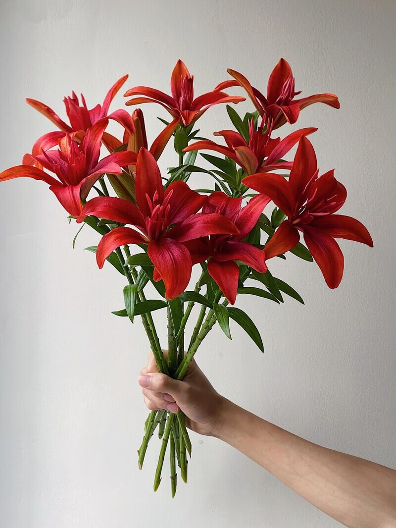 高端稀有红宝石亚百合鲜花无香花期长家庭水养插花顺丰冷链包邮 红