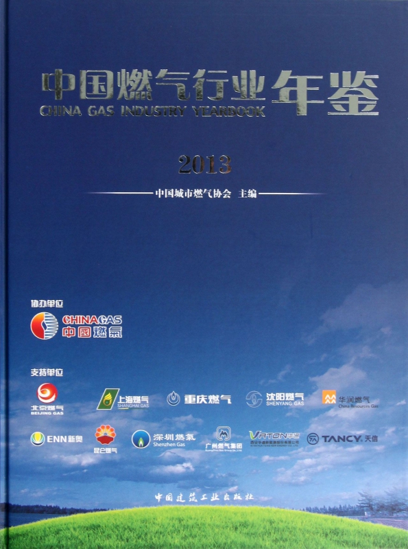 中国燃气行业年鉴(2013)(精)