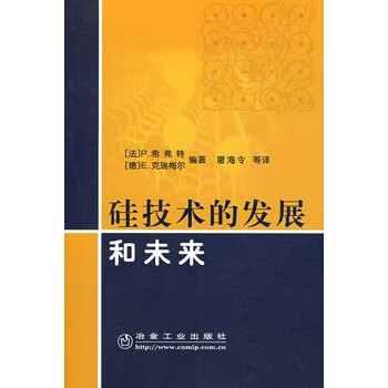 硅技术的发展和未来【正版图书】