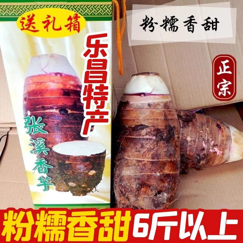 乐昌香芋炮弹芋头 张溪大香芋广东粤北大香芋槟榔芋新鲜芋头礼盒 单果