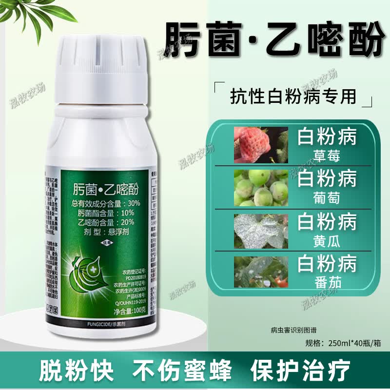 30%肟菌酯乙嘧酚悬浮剂黄瓜白粉病农药杀菌剂 100g