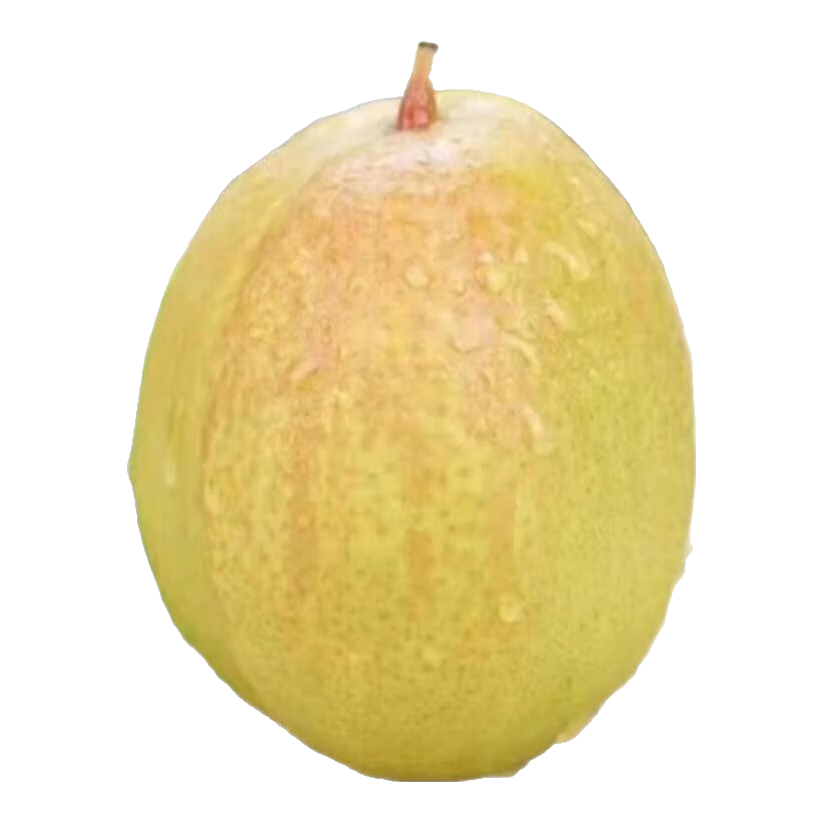 正宗新疆库尔勒香梨一级果 库尔勒香梨带箱2斤80-100g