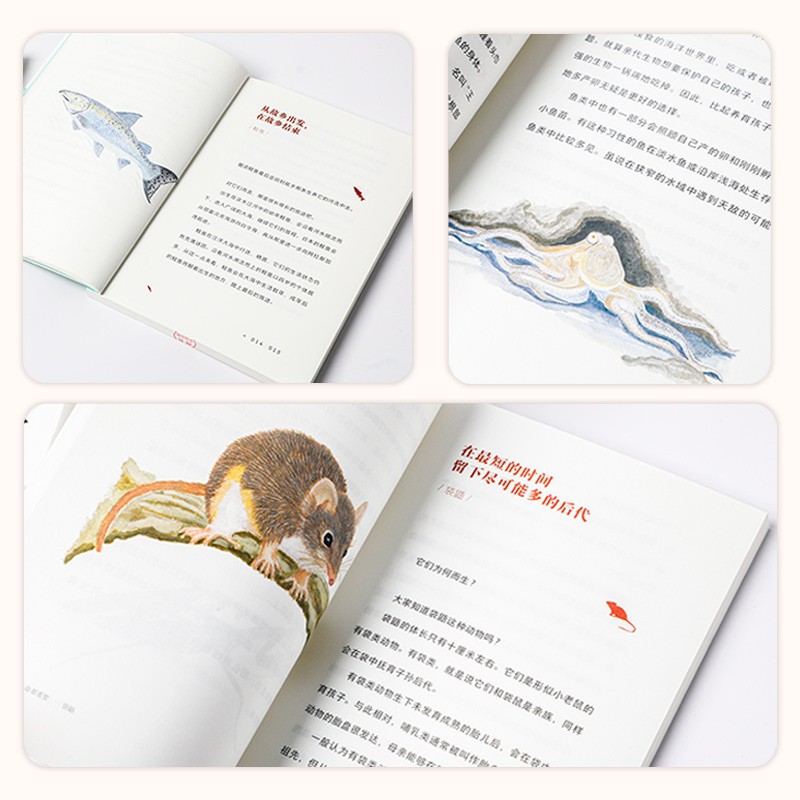 自营【入选爱阅100推荐阅读小学书单】每个生命都重要 给孩子的生命教育书 29种隐藏进化的奥秘生物 风靡日本的动物生死书 中信出版社