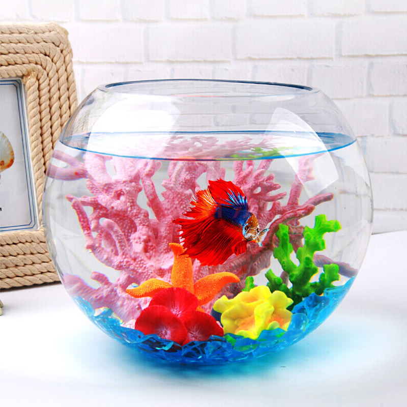 鱼麒麟玻璃圆鱼缸20cm怎么样？体验后讲实情内幕？