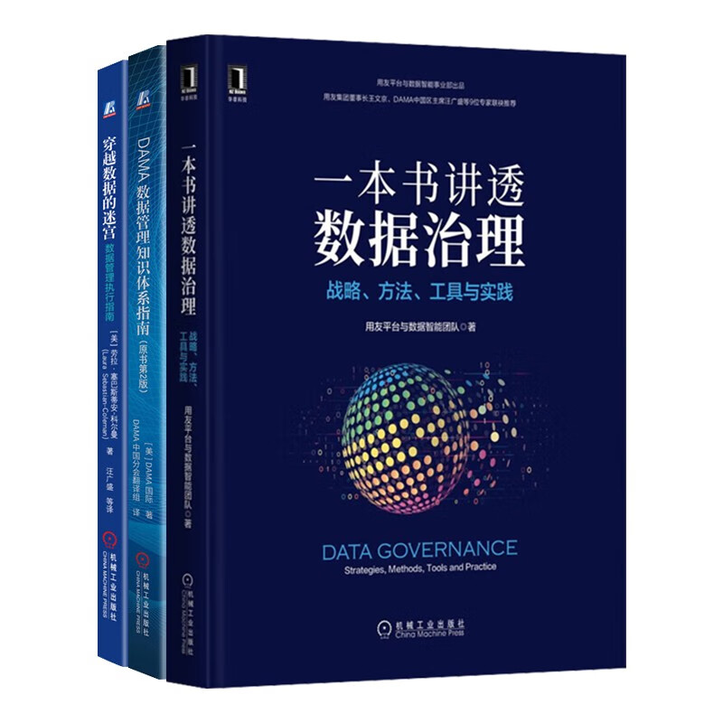 DAMA数据管理知识体系指南（原书第2版）+穿越数据的迷宫：数据管理执行指南+一本书讲透数据治理：战略、方法、工具与实践3本