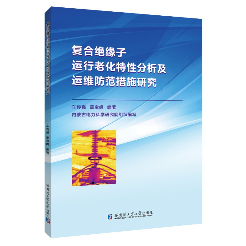 复合绝缘子运行老化特性分析及运维防范措施研究