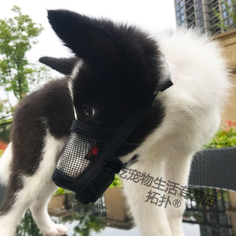 拓扑狗嘴套防咬防叫防捡食乱吃可喝水柯基金毛边牧大型犬口套嘴罩 黑色 L-嘴围19-24cm 建议体重20-40斤高性价比高么？