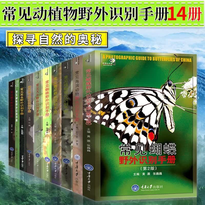 好奇心书系14册 常见动植物野外识别手册 海贝+鸟类+蜘蛛+两栖\/海滨动物+植物+昆虫+天牛蜗牛野外识别手册 动植物科普