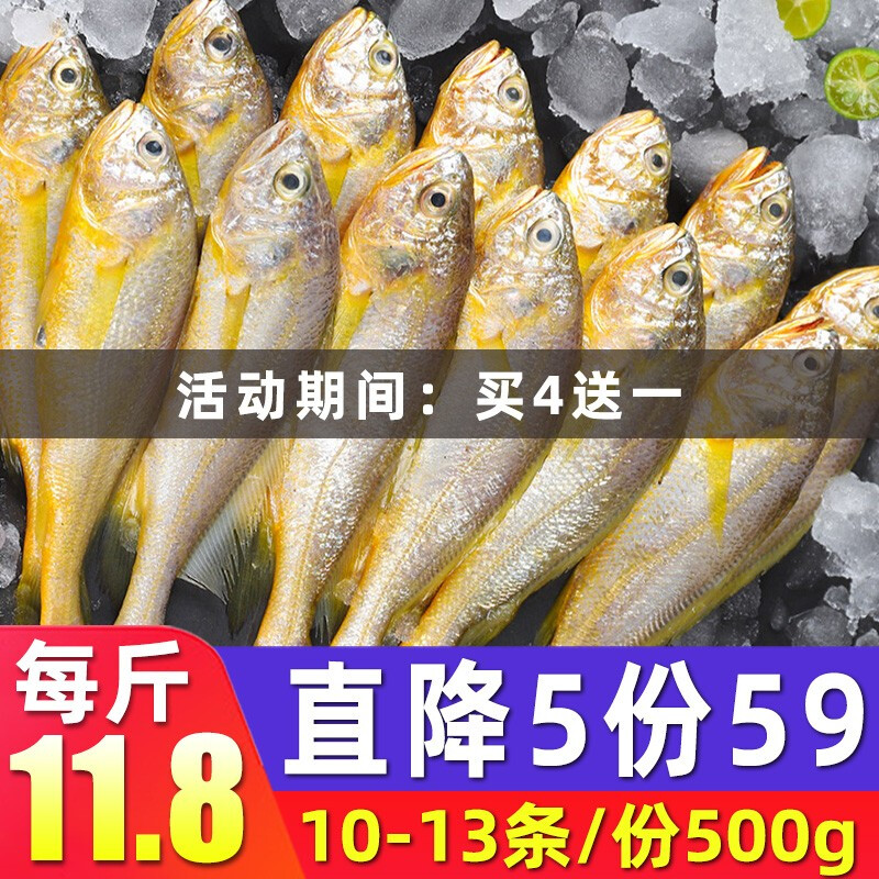 【拍4份！发5斤】东海小黄鱼生鲜黄花鱼黄鱼 500g 10-13条/袋海鲜水产鲜活冷冻生鲜鱼类