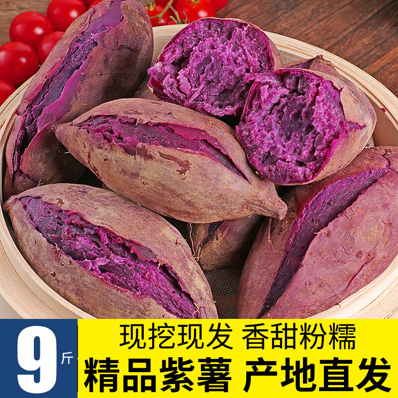 新鲜紫板栗红薯地瓜番薯5山芋小香薯蜜薯农家自种沙地9斤 5斤 中果