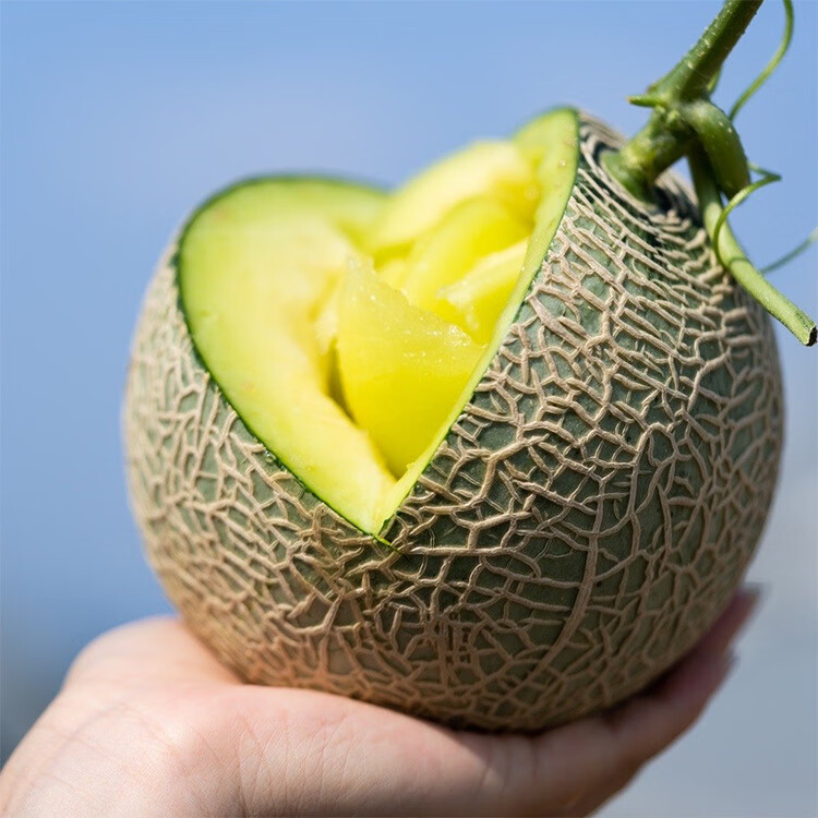 良蚨鲜海南玫珑瓜网纹瓜 静冈香甜蜜瓜新鲜哈密瓜水果9斤装孕妇水果礼盒 网纹瓜 5斤装 2-4个