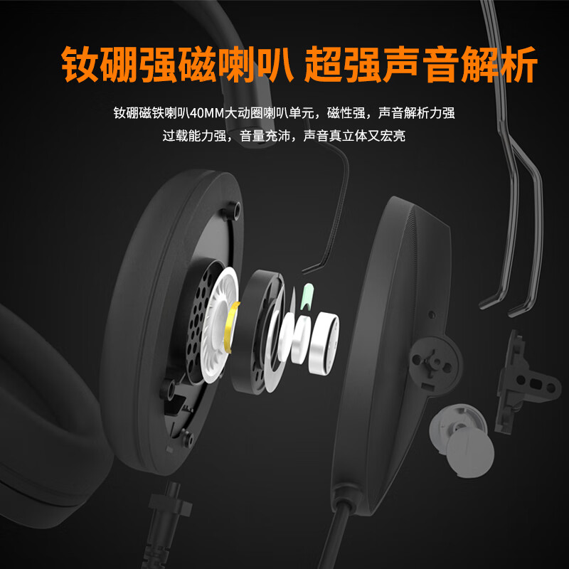 电音D9000头戴式耳麦 电脑有线耳机 人机对话中高考英语口语听说考试耳麦 带话筒网课学习降噪录音 双插头-双孔台式电脑笔记本用