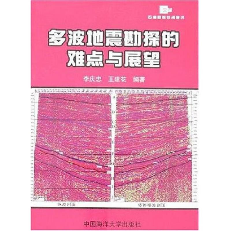 多波地震勘探的难点与展望