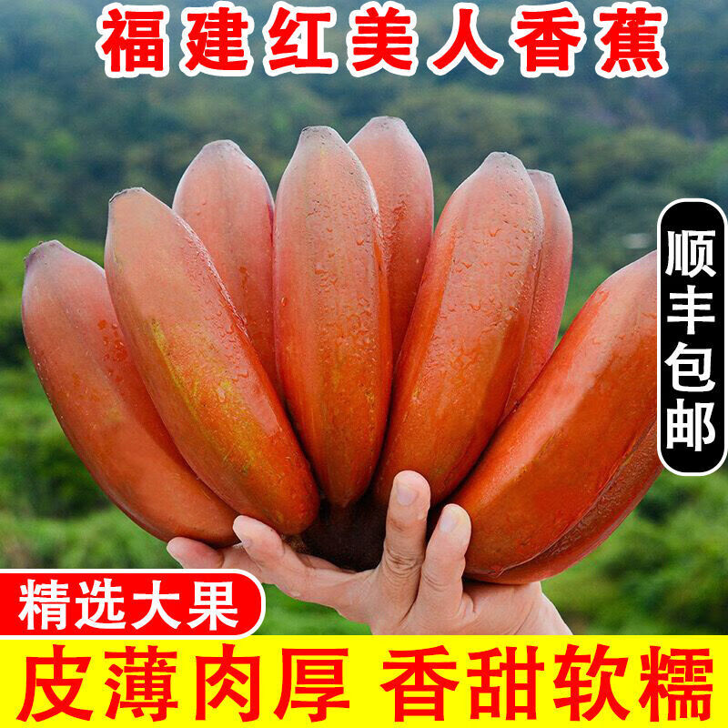 【顺丰】红香蕉福建新鲜水果红美人香蕉红皮蕉整箱单果150g起 3斤装