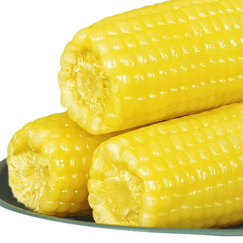 Corn God 玉米神 黄糯玉米棒 东北甜黏粘非转基因  8支≥1800g/包