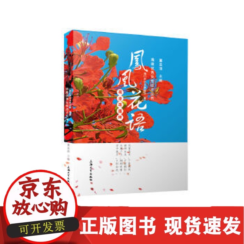 C 凤凰花语