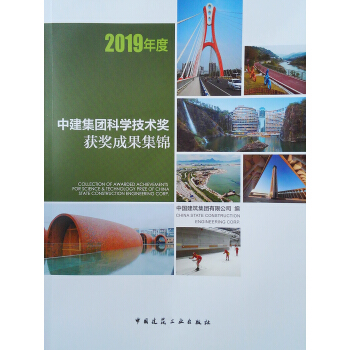 【正版】中建集团科学技术奖获奖成果集锦 2019年度