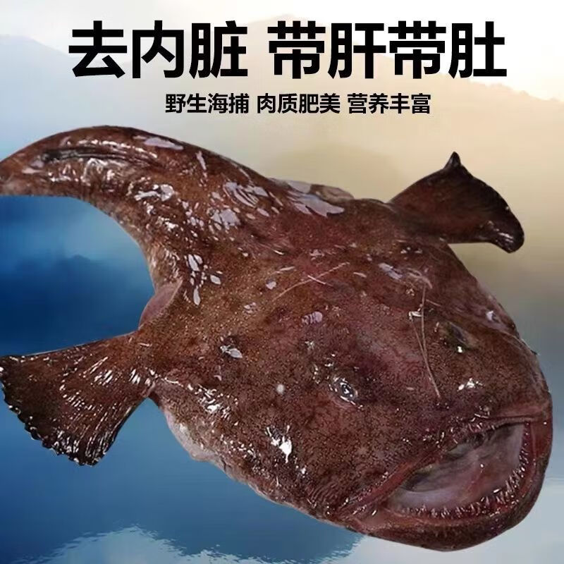 皓谦 安康鱼鲜活速冻灯笼鱼无刺鮟鱇鱼大蛤蟆鱼大嘴鱼去内脏保留鱼肝