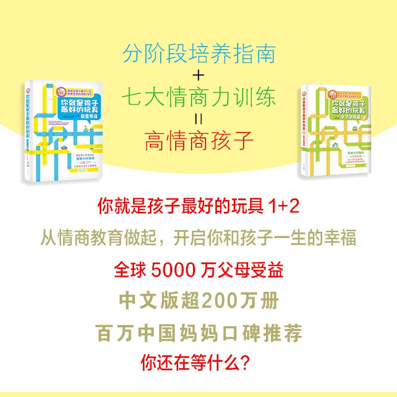 你就是孩子最好的玩具1+2，奠定父母与孩子一生的亲密关系，樊登推荐详情图